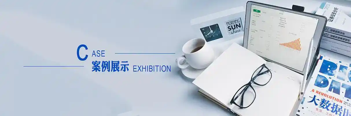 城子河区软件开发